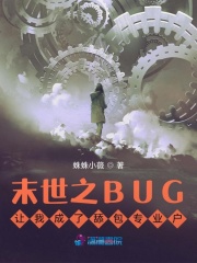 ϵͳBUG���ҳ������רҵ��