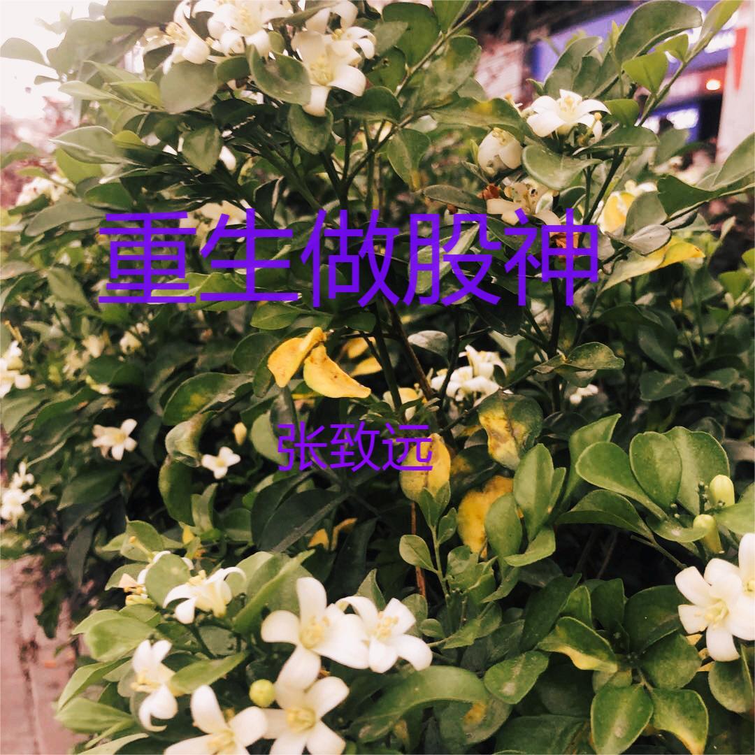 ���������ھ��ӹ���Ϊ���ӵ�Ǭ��