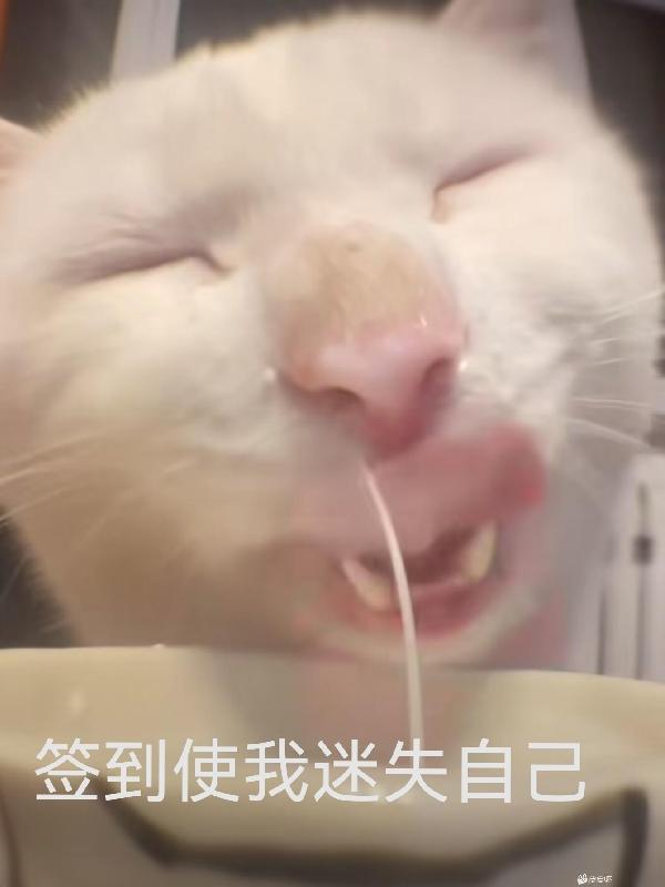 ǩ��ʹ����ʧ�Լ�