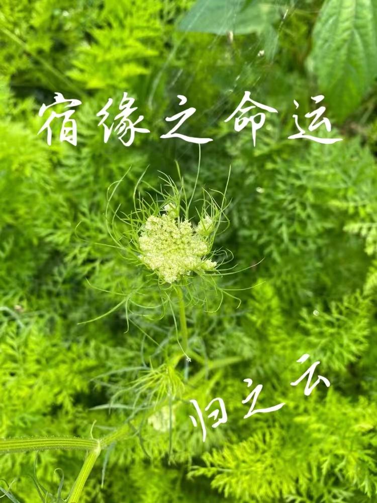 ��Ե֮����