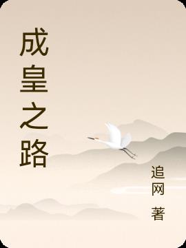 �ɻ�֮·