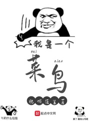 ����һ������